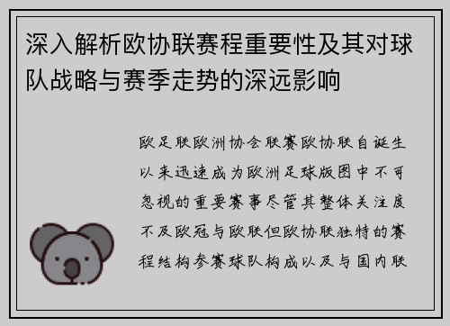 深入解析欧协联赛程重要性及其对球队战略与赛季走势的深远影响